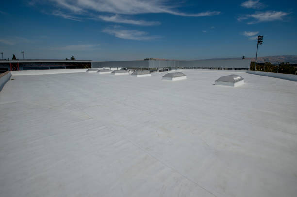 Best Roof Leak Repair  in Alliance, OH
