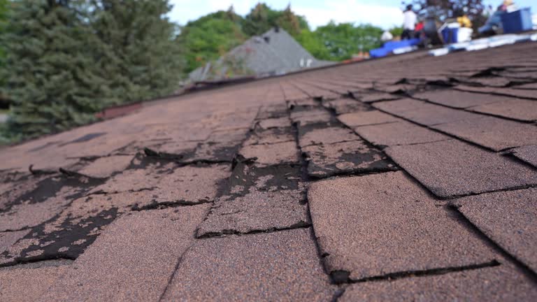 Best Cold Roofs  in Alliance, OH